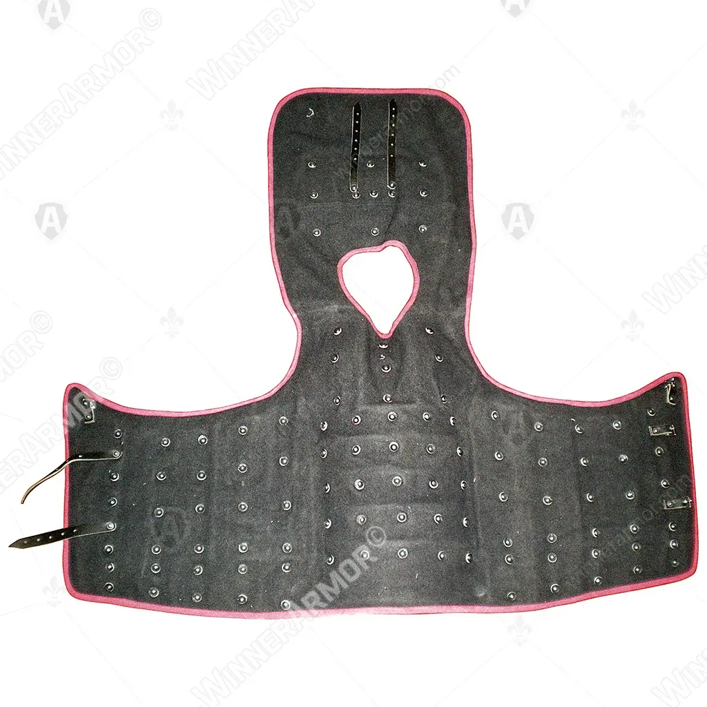 Visby Type 1 Brigandine for Armored Combat Torso