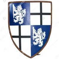 European Shield L for Buhurt, 60×75, 8 mm