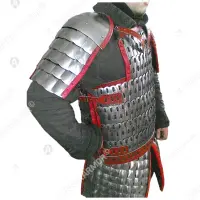 Lamellar cuirass with scales for buhurt fights