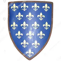 European Shield L for Buhurt, 60×75, 8 mm