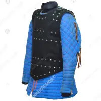 Visby 3 Brigandine (sport): back & clavicle plates