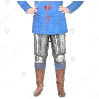 Plate-and-mail hips for buhurt full contact