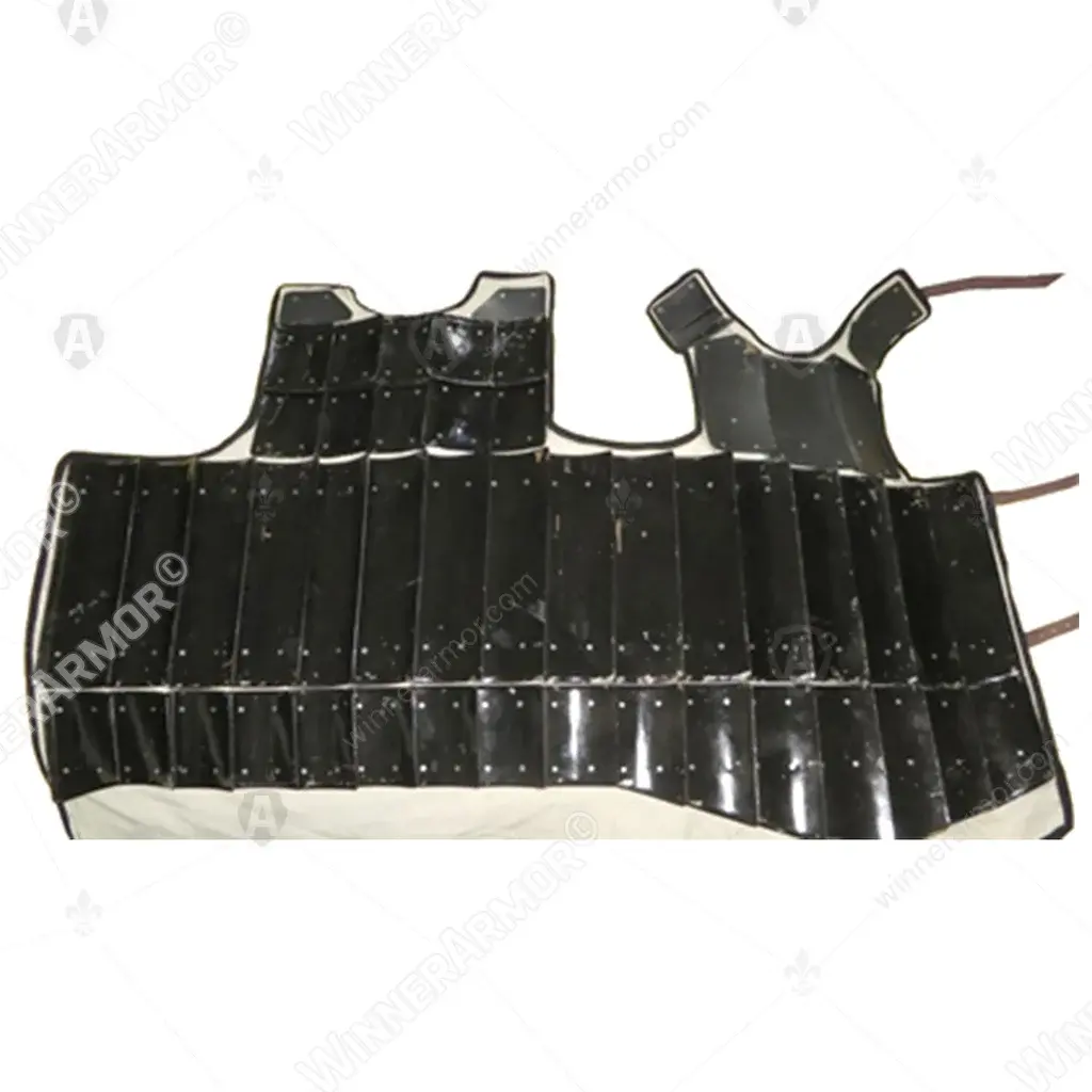 Visby Type III Brigandine for Buhurt & Training