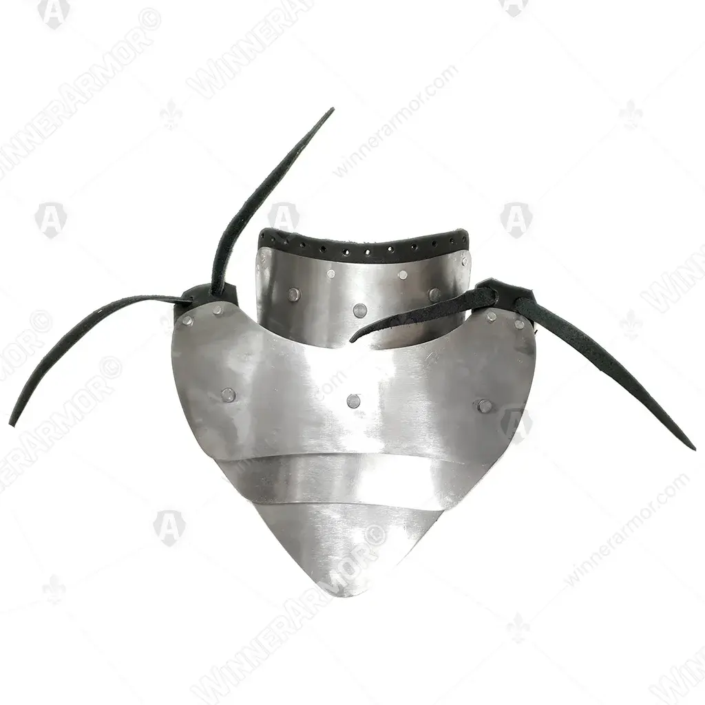 Neck and spine protection for buhurt fights