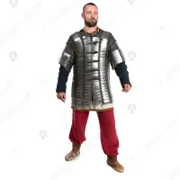 16–17th c. Bakhterets for Buhurt: mobility and cover