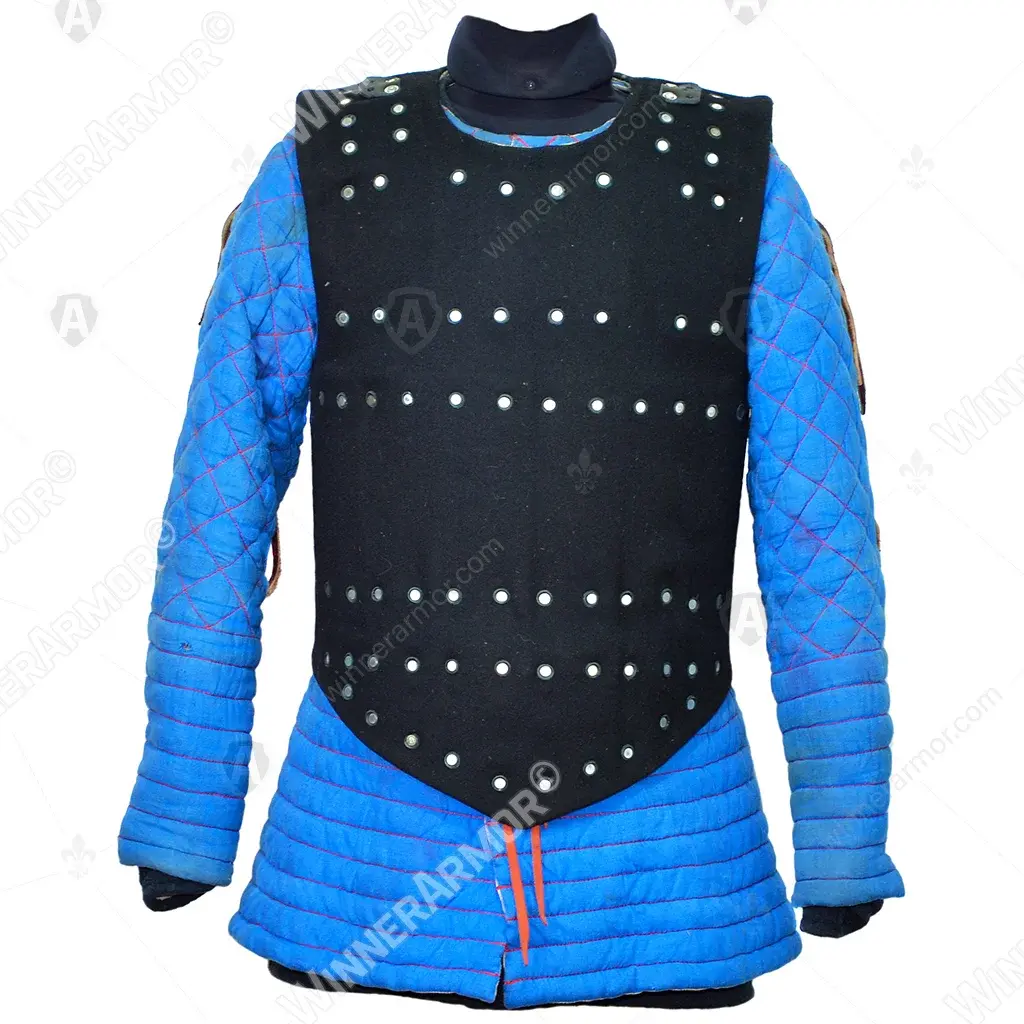 Visby 3 Brigandine (sport): back & clavicle plates