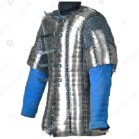 16–17th c. Bakhterets for Buhurt: mobility and cover