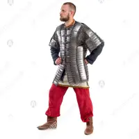 16–17th c. Bakhterets for Buhurt: mobility and cover