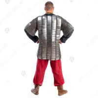 16–17th c. Bakhterets for Buhurt: mobility and cover