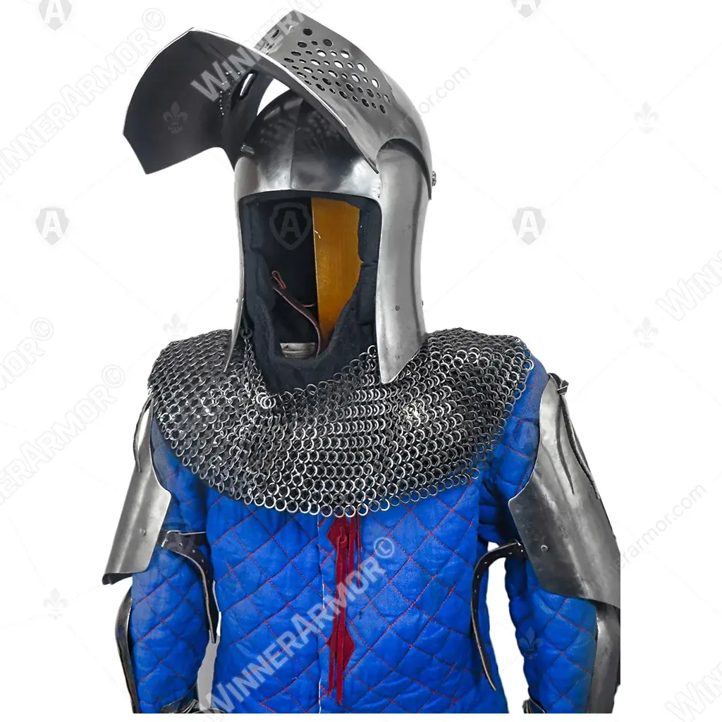 Griffon bascinet helmet for buhurt full contact