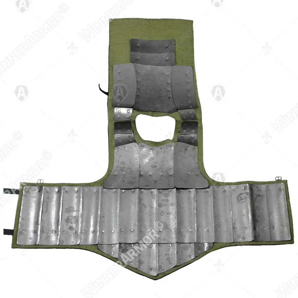 Visby 3 Brigandine (sport): back & clavicle plates