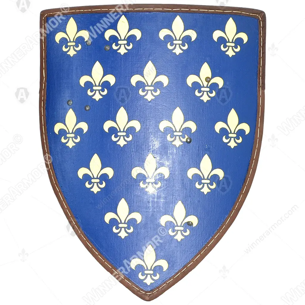 European Shield L for Buhurt, 60×75, 8 mm