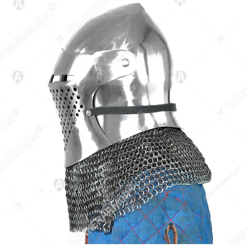 Griffon bascinet helmet for buhurt full contact