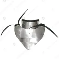 Neck and spine protection for buhurt fights