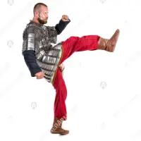 16–17th c. Bakhterets for Buhurt: mobility and cover